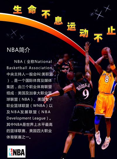 球员与年